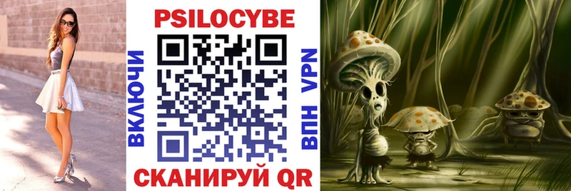 Псилоцибиновые грибы Psilocybe Орск
